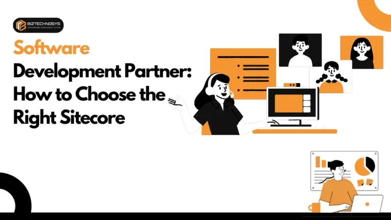Software Development Partner